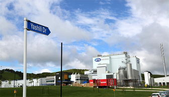 蒙牛二十载奋进路 从草原走向世界的乳业先锋